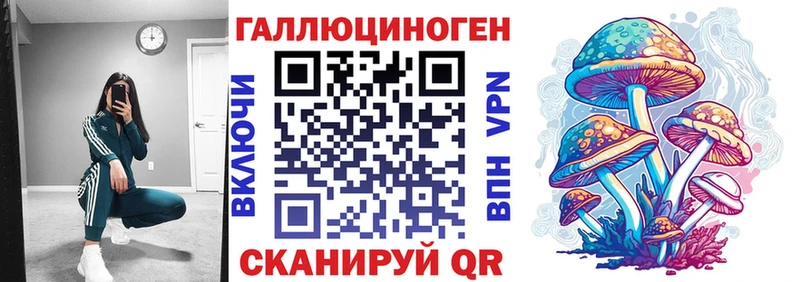 наркошоп  Саранск  Галлюциногенные грибы Psilocybe 